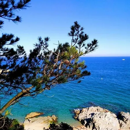 Montane Lloret de Mar